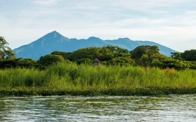 Peeling Químico en Granada: Rejuvenece tu Piel de Forma Segura y Efectiva